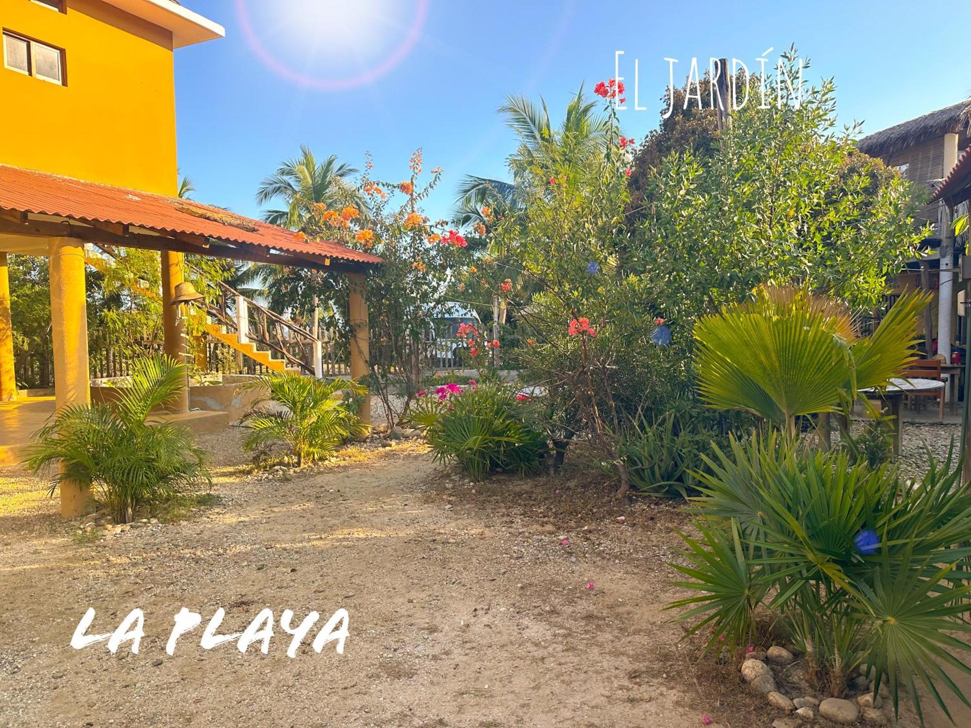 Hotel La Playa مازونتي المظهر الخارجي الصورة